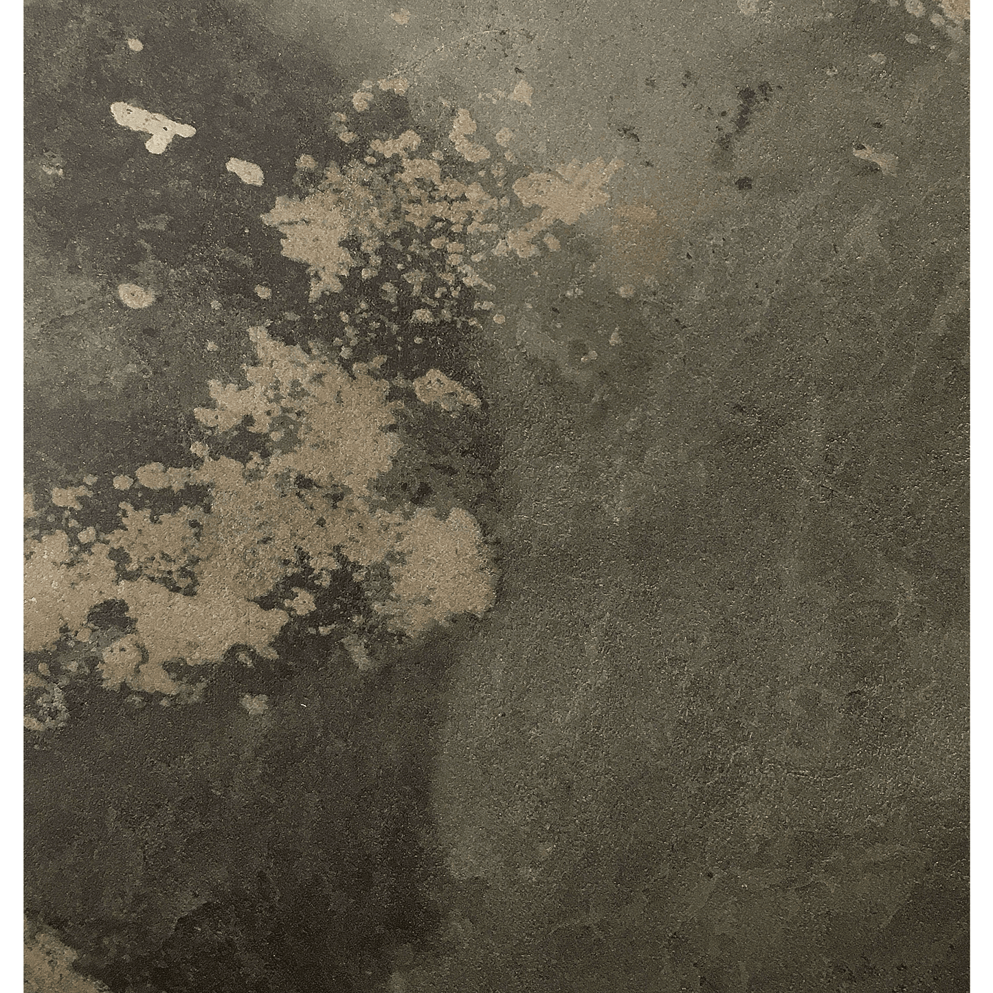 Plateau de table restaurant compact Cosmos