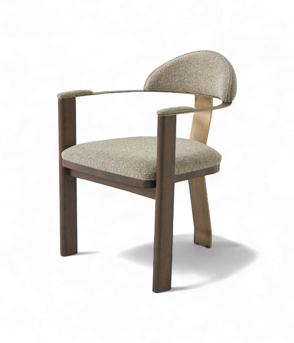 chaise pour professionnel lion vue d'ensemble