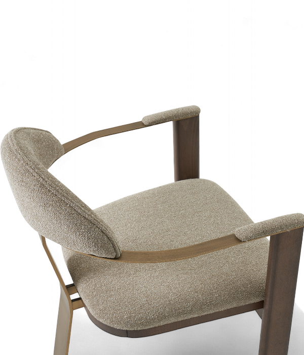 chaise de restaurant lion vue de haut